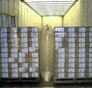 dunnage in place